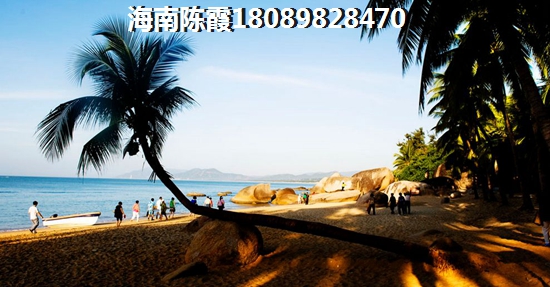 征集校园风景照片的通知
