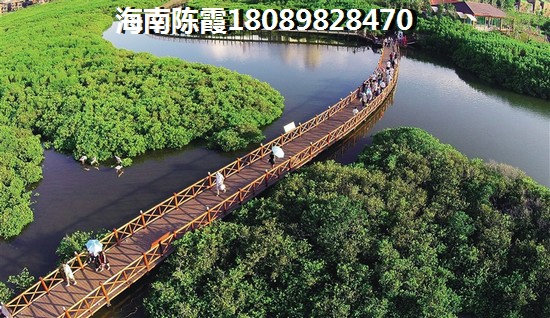 阳光椰风苑优势不足分析~