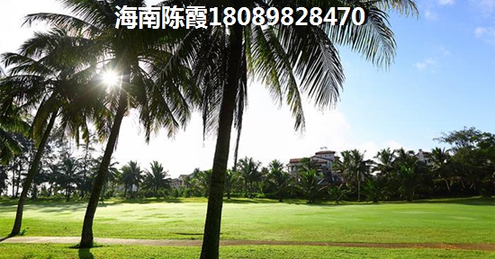 上海节目主持人陆易