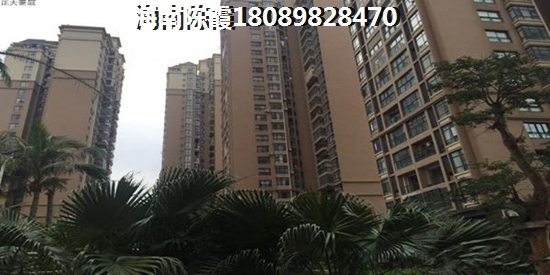 海南定安房子还能touzi吗
