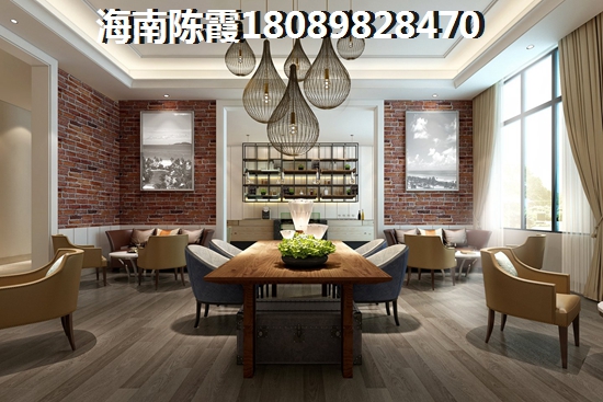 海南将来发展前景哪里醉好
